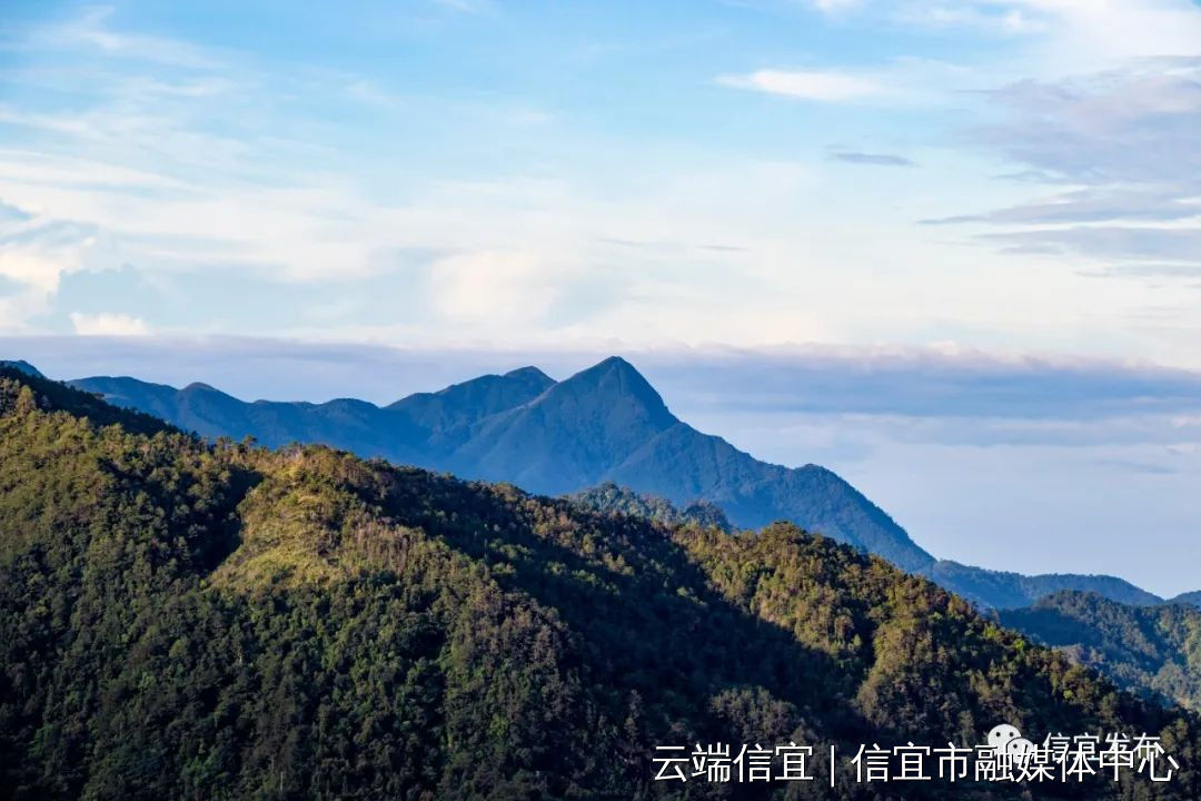 马鞍山等 一批得天独厚的森林资源 在冲刺"国家森林城市"过程中 信宜